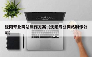 伊川沈阳专业网站制作方案（沈阳专业网站制作公司）